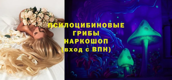 гашик Воткинск