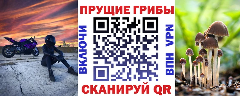 Псилоцибиновые грибы мицелий OMG tor Серафимович